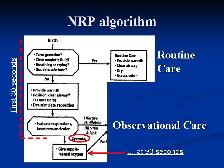 First 30 seconds NRP algorithm Routine Care Observational Care … at 90 seconds 