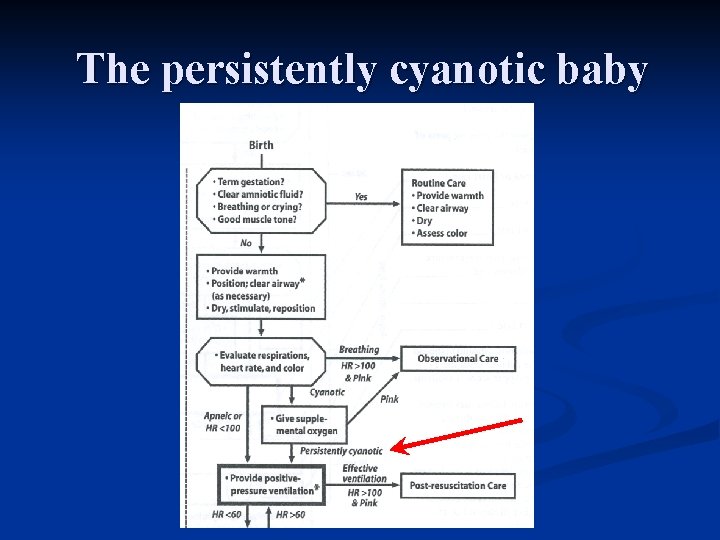 The persistently cyanotic baby 