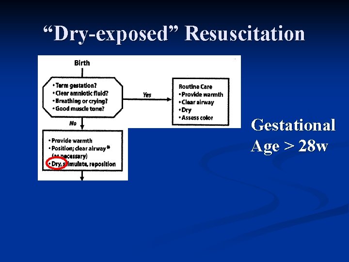 “Dry-exposed” Resuscitation Gestational Age > 28 w 