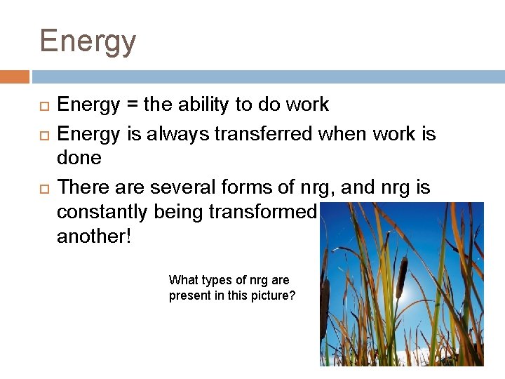 Energy Energy = the ability to do work Energy is always transferred when work