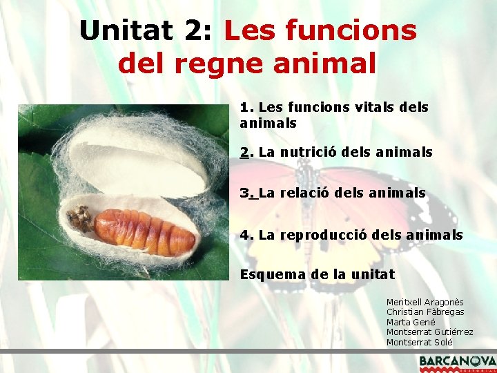Unitat 2: Les funcions del regne animal 1. Les funcions vitals dels animals 2. Unitat 2: Les funcions del regne animal 1. Les funcions vitals dels animals 2.