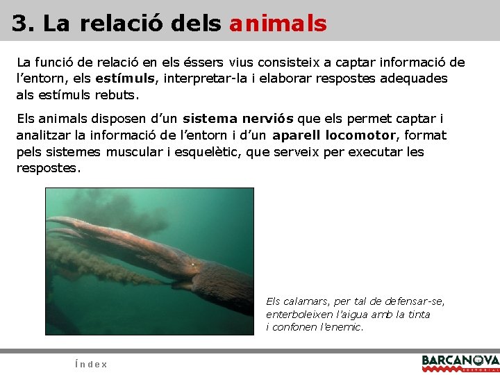 3. La relació dels animals La funció de relació en els éssers vius consisteix 3. La relació dels animals La funció de relació en els éssers vius consisteix