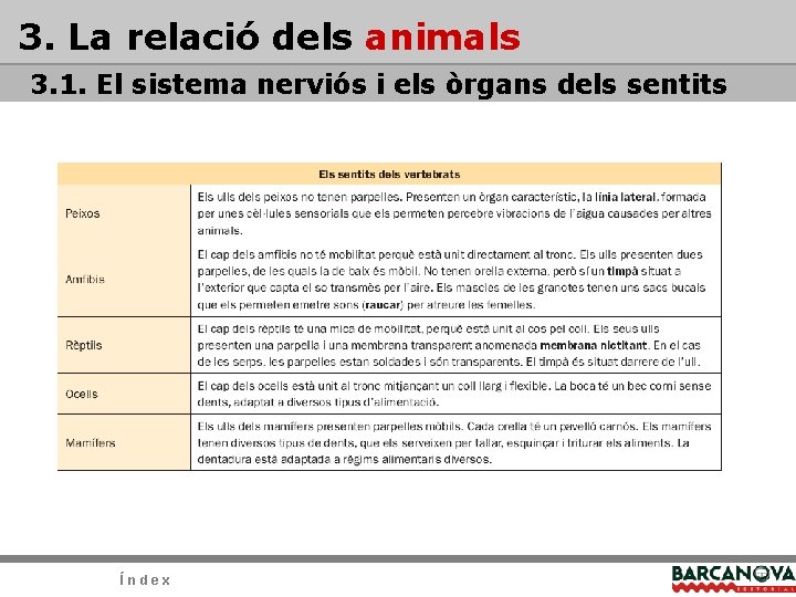 3. La relació dels animals 3. 1. El sistema nerviós i els òrgans dels 3. La relació dels animals 3. 1. El sistema nerviós i els òrgans dels