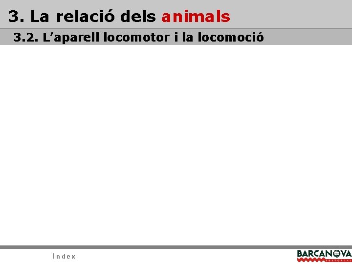 3. La relació dels animals 3. 2. L’aparell locomotor i la locomoció Índex 3. La relació dels animals 3. 2. L’aparell locomotor i la locomoció Índex