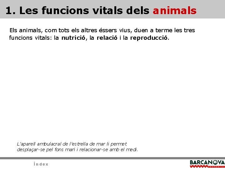 1. Les funcions vitals dels animals Els animals, com tots els altres éssers vius, 1. Les funcions vitals dels animals Els animals, com tots els altres éssers vius,