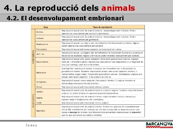 4. La reproducció dels animals 4. 2. El desenvolupament embrionari Índex 4. La reproducció dels animals 4. 2. El desenvolupament embrionari Índex