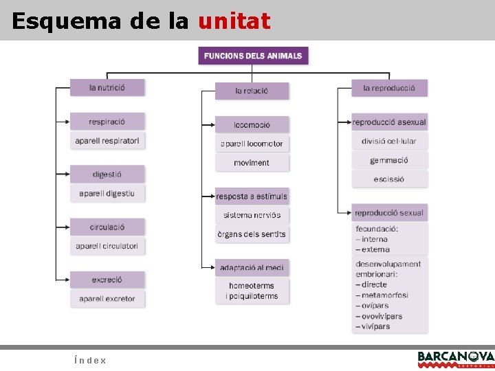 Esquema de la unitat Índex Esquema de la unitat Índex