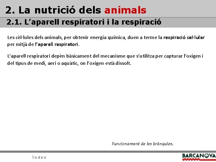 2. La nutrició dels animals 2. 1. L’aparell respiratori i la respiració Les cèl·lules 2. La nutrició dels animals 2. 1. L’aparell respiratori i la respiració Les cèl·lules