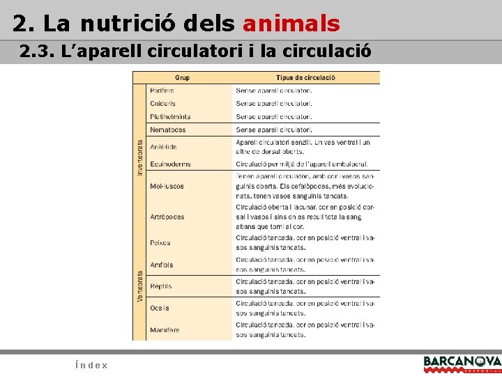2. La nutrició dels animals 2. 3. L’aparell circulatori i la circulació Índex 2. La nutrició dels animals 2. 3. L’aparell circulatori i la circulació Índex