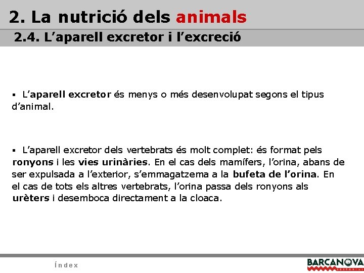 2. La nutrició dels animals 2. 4. L’aparell excretor i l’excreció § L’aparell excretor 2. La nutrició dels animals 2. 4. L’aparell excretor i l’excreció § L’aparell excretor