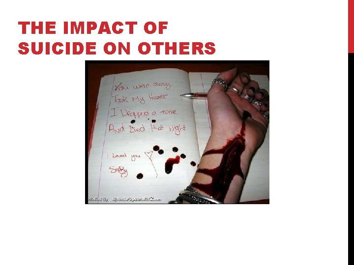 THE IMPACT OF SUICIDE ON OTHERS 