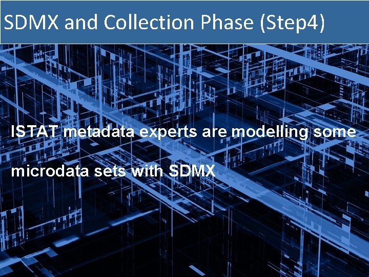 SDMX and Collection Phase (Step 4) ISTAT metadata experts are modelling some microdata sets