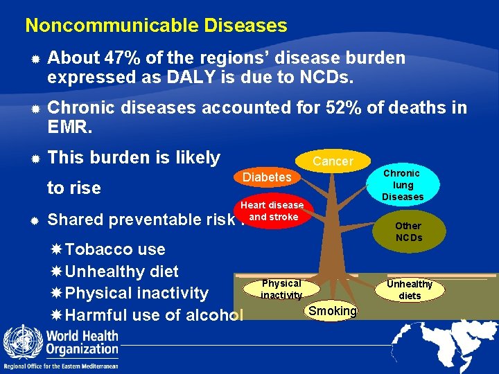 Noncommunicable Diseases About 47% of the regions’ disease burden expressed as DALY is due