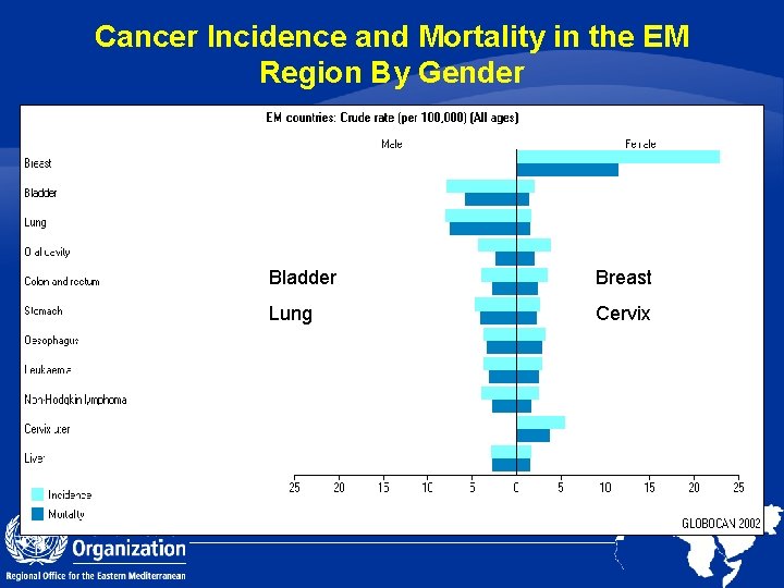 Cancer Incidence and Mortality in the EM Region By Gender Bladder Breast Lung Cervix