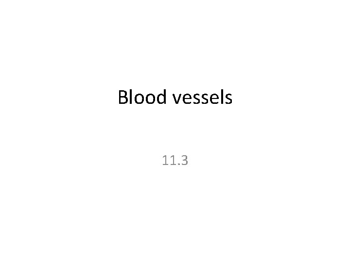 Blood vessels 11. 3 