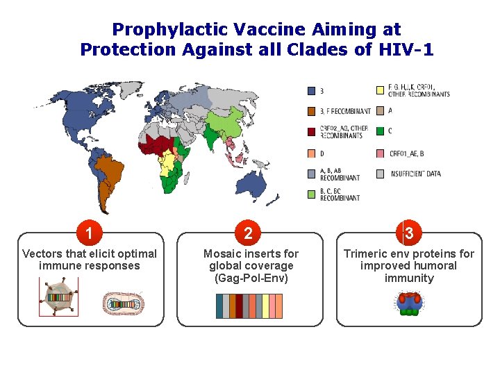 Prophylactic Vaccine Aiming at Protection Against all Clades of HIV-1 1 2 3 Vectors