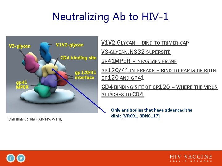 Neutralizing Ab to HIV-1 V 3 -glycan V 1 V 2 -glycan CD 4