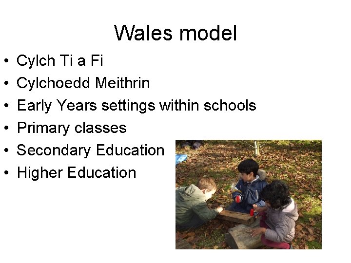 Wales model • • • Cylch Ti a Fi Cylchoedd Meithrin Early Years settings