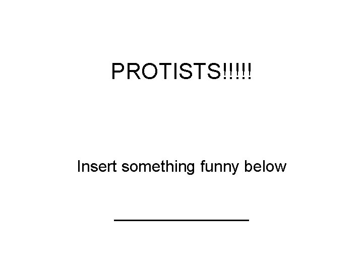 PROTISTS!!!!! Insert something funny below ________ 
