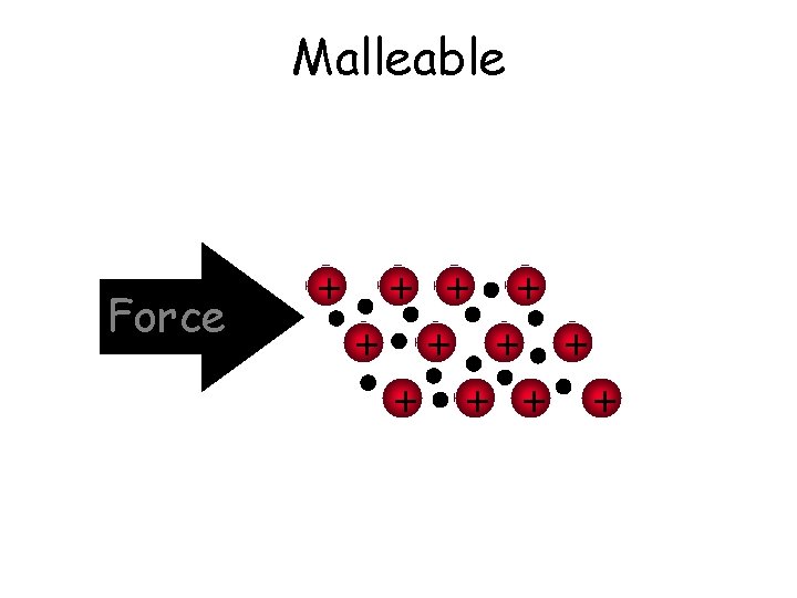 Malleable Force + + + Malleable Force + + +