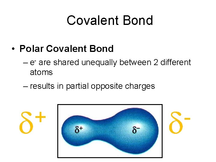 Covalent Bond • Polar Covalent Bond – e- are shared unequally between 2 different Covalent Bond • Polar Covalent Bond – e- are shared unequally between 2 different