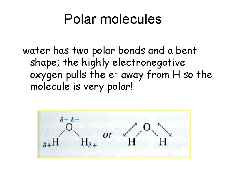 Polar molecules water has two polar bonds and a bent shape; the highly electronegative Polar molecules water has two polar bonds and a bent shape; the highly electronegative