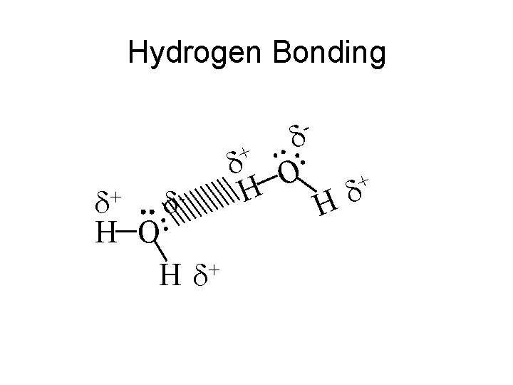 Hydrogen Bonding - + + H O + H H O + H Hydrogen Bonding - + + H O + H H O + H