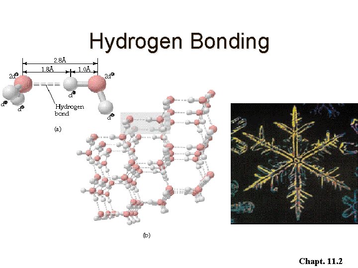 Hydrogen Bonding Chapt. 11. 2 Hydrogen Bonding Chapt. 11. 2