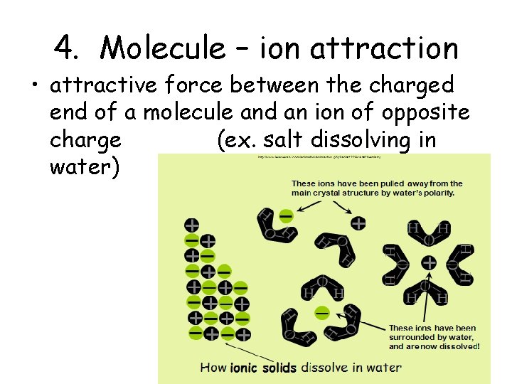 4. Molecule – ion attraction • attractive force between the charged end of a 4. Molecule – ion attraction • attractive force between the charged end of a