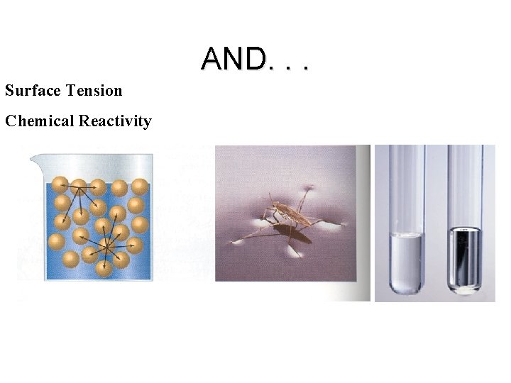 AND. . . Surface Tension Chemical Reactivity AND. . . Surface Tension Chemical Reactivity