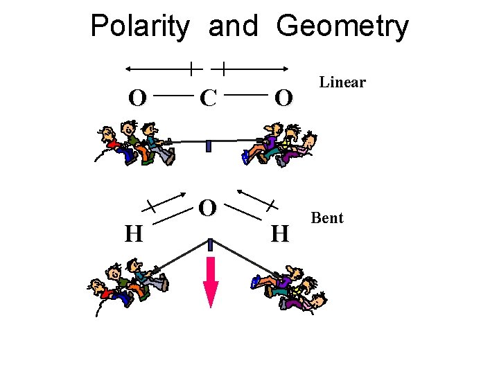 Polarity and Geometry O H C O O H Linear Bent Polarity and Geometry O H C O O H Linear Bent