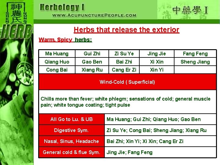 Herbs that release the exterior Warm, Spicy herbs: Ma Huang Gui Zhi Zi Su