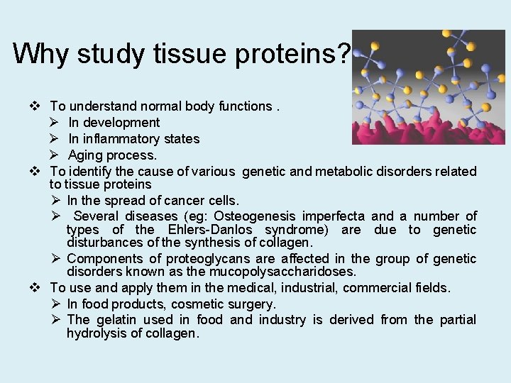 Why study tissue proteins? v To understand normal body functions. Ø In development Ø