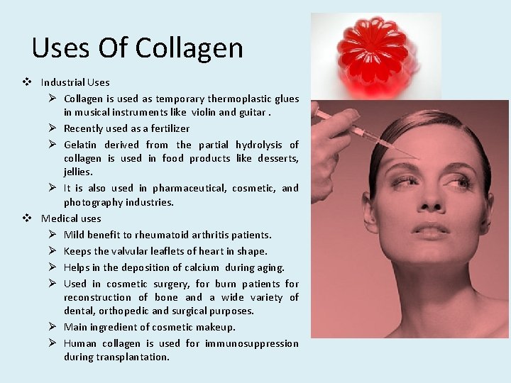 Uses Of Collagen v Industrial Uses Ø Collagen is used as temporary thermoplastic glues