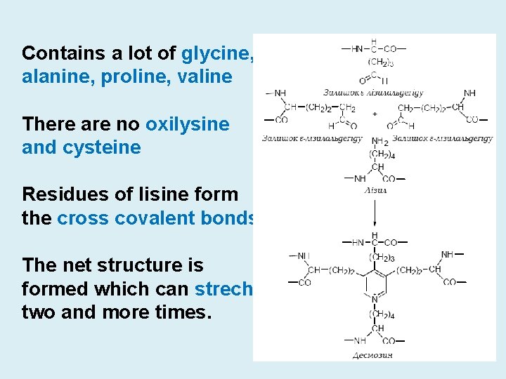 Contains a lot of glycine, alanine, proline, valine There are no oxilysine and cysteine