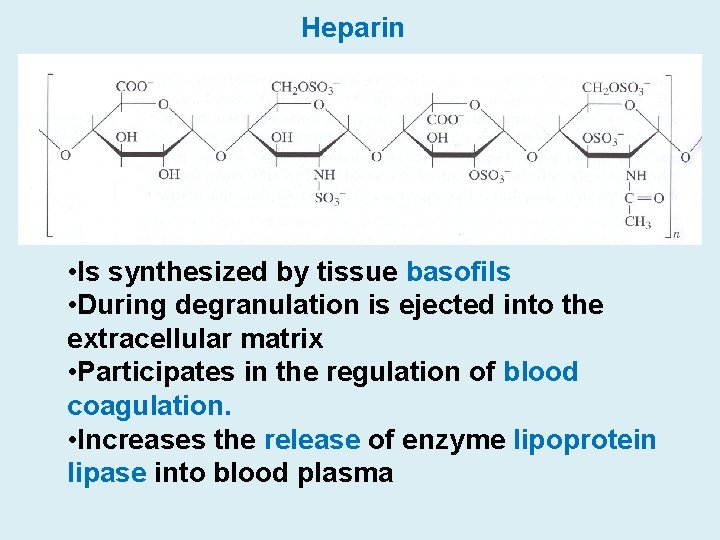 Heparin • Is synthesized by tissue basofils • During degranulation is ejected into the