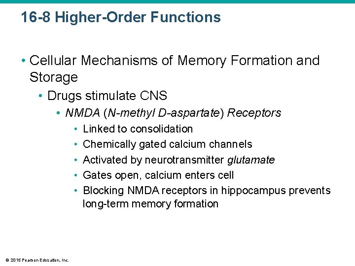 16 -8 Higher-Order Functions • Cellular Mechanisms of Memory Formation and Storage • Drugs