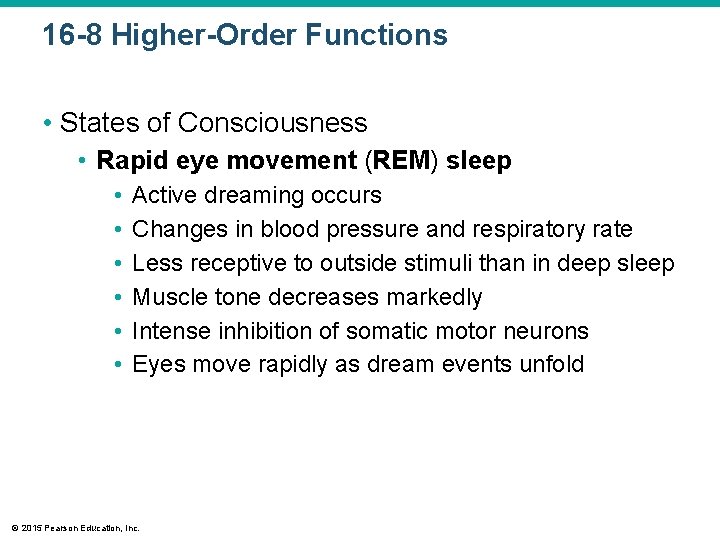 16 -8 Higher-Order Functions • States of Consciousness • Rapid eye movement (REM) sleep