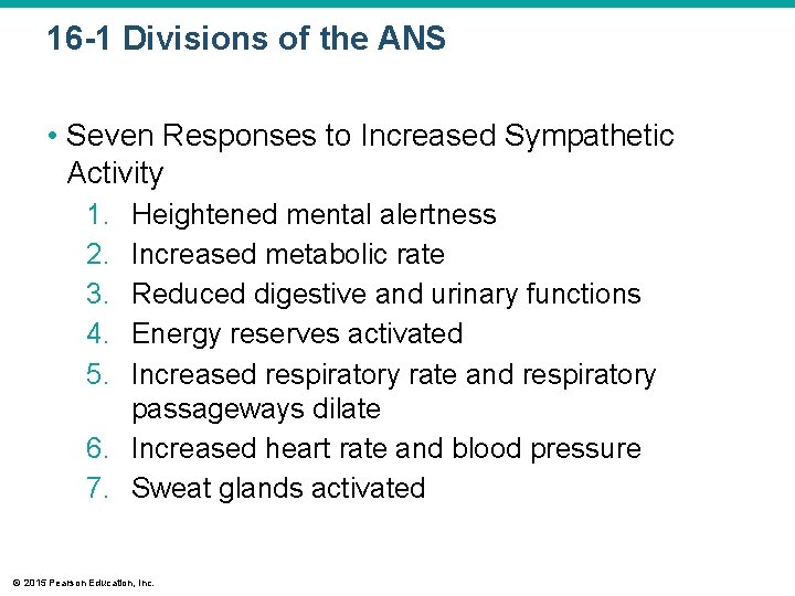 16 -1 Divisions of the ANS • Seven Responses to Increased Sympathetic Activity 1.