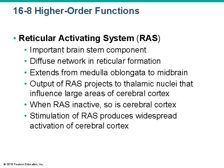 16 -8 Higher-Order Functions • Reticular Activating System (RAS) • • Important brain stem