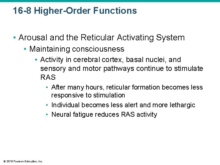 16 -8 Higher-Order Functions • Arousal and the Reticular Activating System • Maintaining consciousness