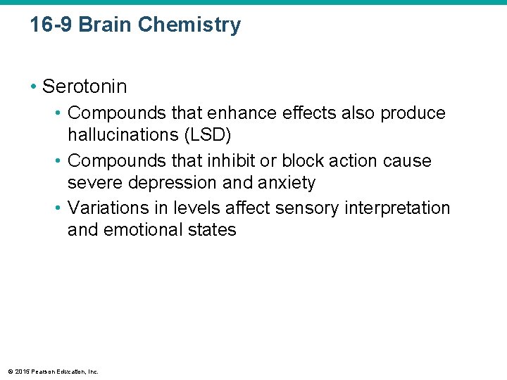 16 -9 Brain Chemistry • Serotonin • Compounds that enhance effects also produce hallucinations