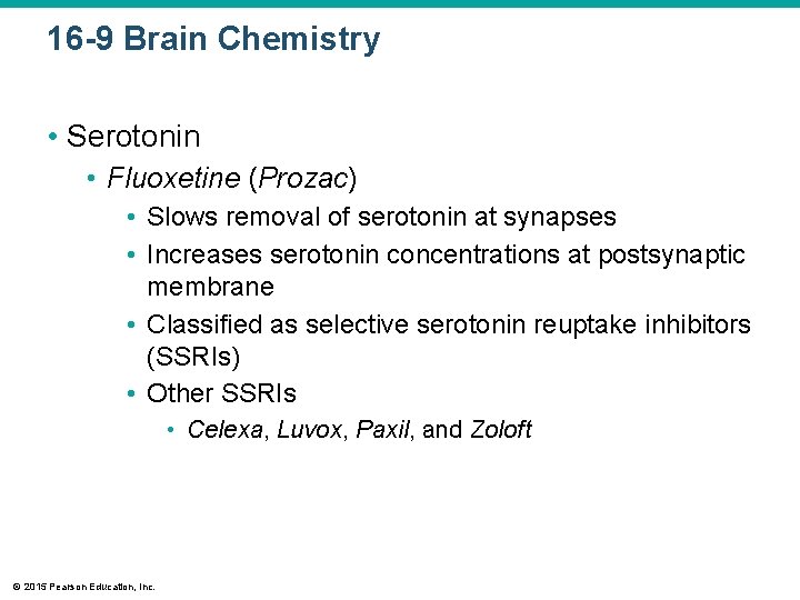 16 -9 Brain Chemistry • Serotonin • Fluoxetine (Prozac) • Slows removal of serotonin