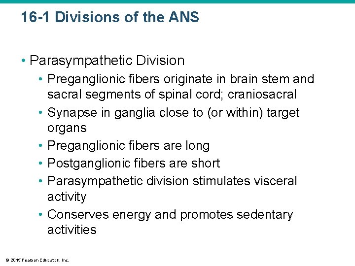 16 -1 Divisions of the ANS • Parasympathetic Division • Preganglionic fibers originate in