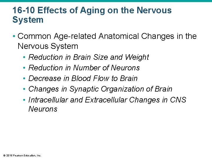 16 -10 Effects of Aging on the Nervous System • Common Age-related Anatomical Changes