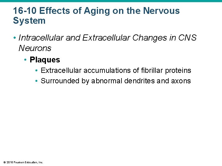 16 -10 Effects of Aging on the Nervous System • Intracellular and Extracellular Changes