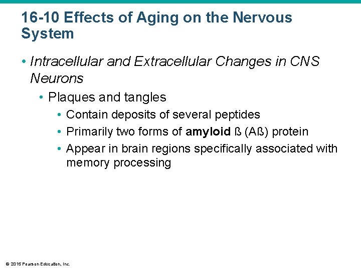 16 -10 Effects of Aging on the Nervous System • Intracellular and Extracellular Changes