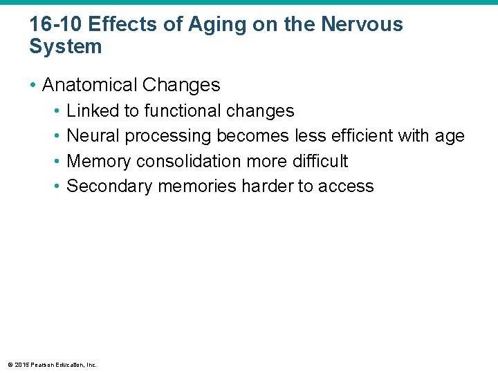 16 -10 Effects of Aging on the Nervous System • Anatomical Changes • •