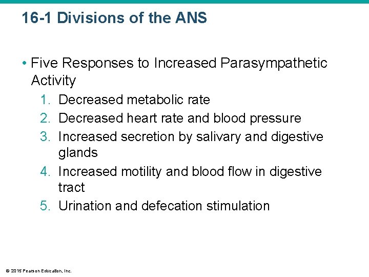 16 -1 Divisions of the ANS • Five Responses to Increased Parasympathetic Activity 1.