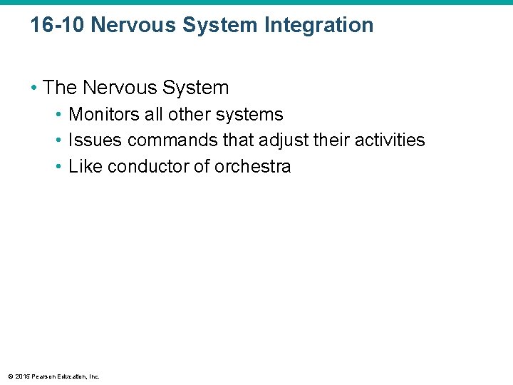 16 -10 Nervous System Integration • The Nervous System • Monitors all other systems